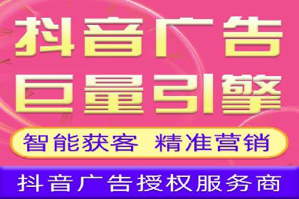 SEO与SEM融合策略：成功案例解析
